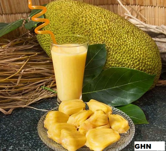All you need to know about jackfruit