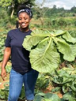 Margaret Afriyie the midwife farmer